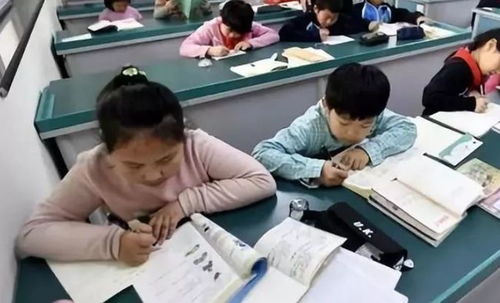 中小学课后服务全面铺开，教育咨询助力家长满意度提升